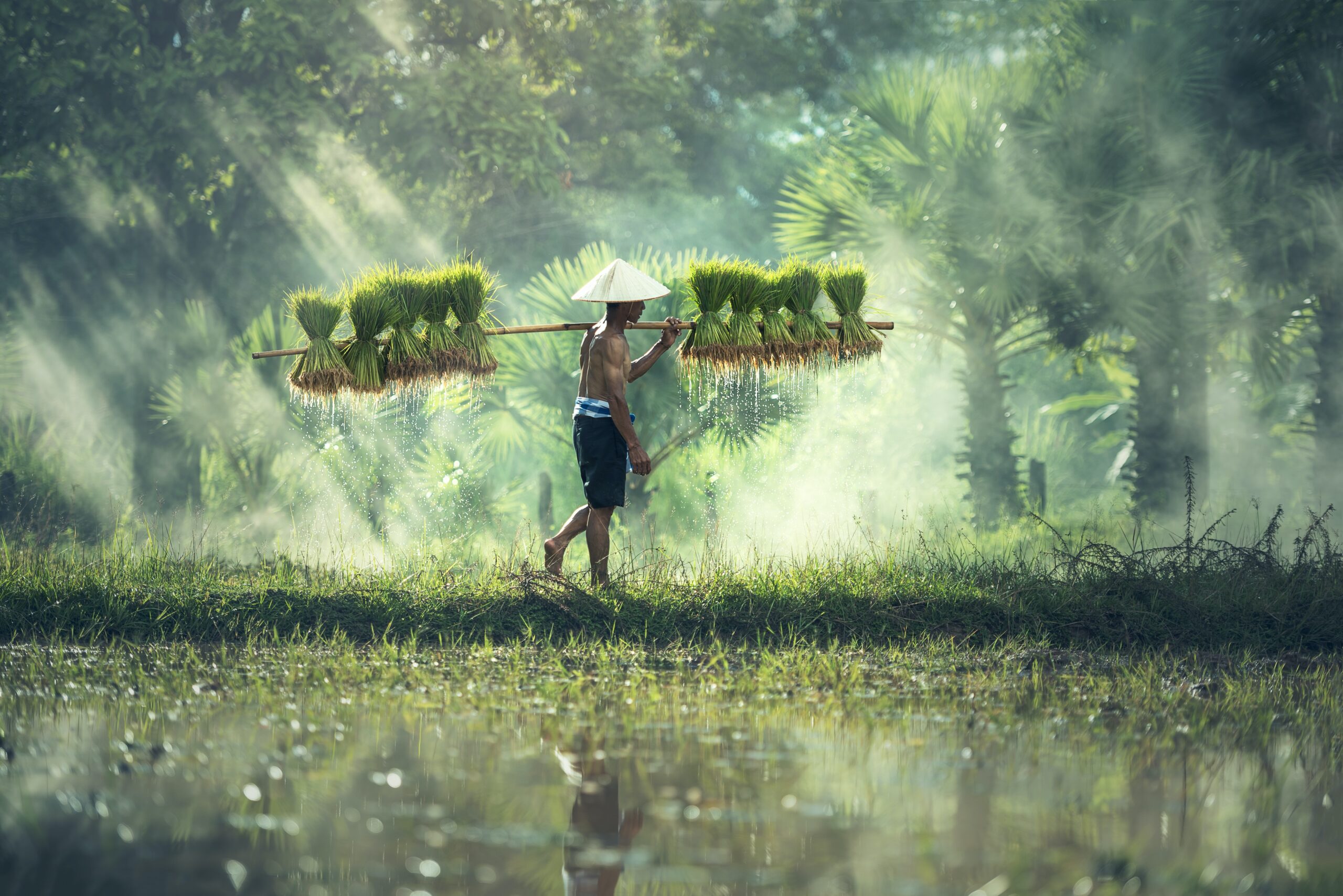 Green Farm Worker - outsourced telemarketing - Transaction Focus
