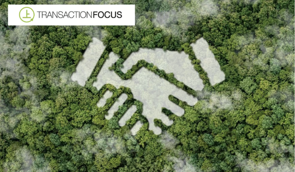 transaction-focus-partnership
